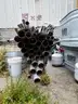 Construction Supplies, Cable Equipment, ConduitProtective Bollards, Steel Bollards, Pipe Stands, Approx Qty 45