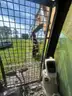 2004 Caterpillar 330C L Tracked Excavator with Genesis GXP 500R Demolition Shear