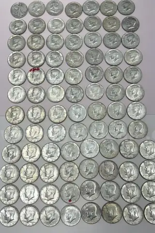 88 U.S. Half Dollar Coins (11 Coins Pre 1965, 74 Coins 1965 - 1969, 3 Bicentennials)