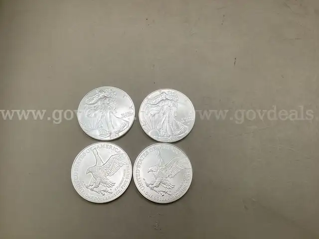 Lot of 20 American Silver Eagle , Face value of one dollar and contains one Troy ounce of 99.9% pure silver each