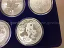 5  Troy ounces of 99.9 % Fine Silver ( 5 most popular Silver Coins on Earth)