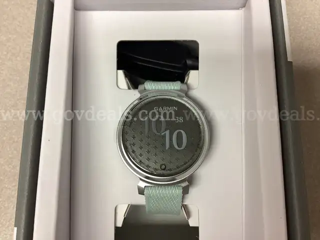   GARMIN LILY 2 CLASSIC Smartwatch