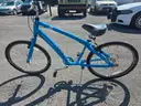 Trek Bicycle