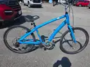 Trek Bicycle