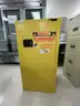 Securall P320 Safety Storage Cabinet