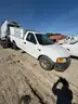 2004 Ford F-150 Heritage with 2009 Deerskin AC18G Body