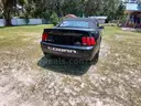 2003 Ford Mustang SVT Cobra Convertible