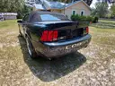 2003 Ford Mustang SVT Cobra Convertible