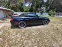 2003 Ford Mustang SVT Cobra Convertible