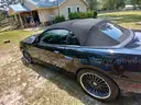 2003 Ford Mustang SVT Cobra Convertible