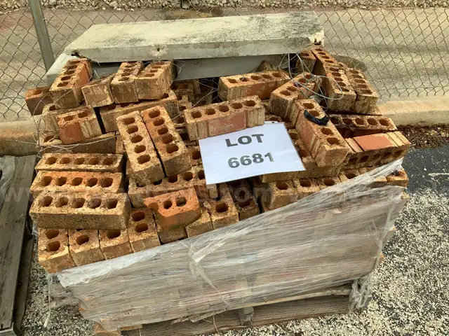 Bricks