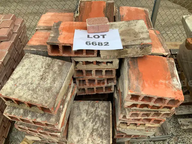 Bricks