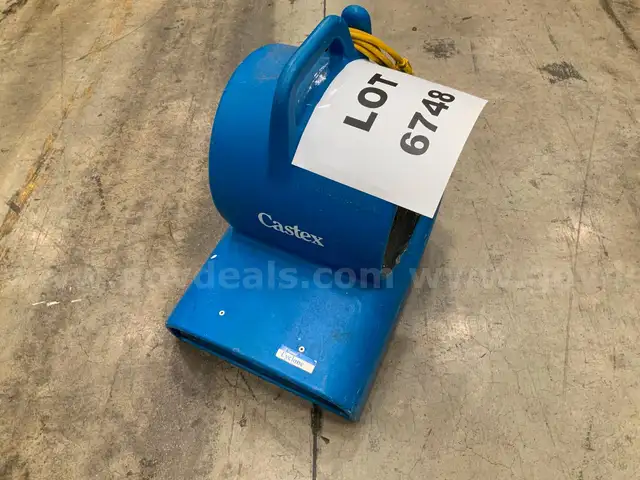 Floor and Carpet Fan