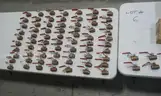 419 PCS. VALVES BULK LOT, NEVER USED.