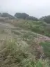 100,000 CY of Dredge Soil