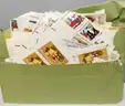 Large Mixed Lot- Hundreds of Stamps (some mint), Foreign Currency, and Jewelry
