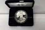 1995 American Eagle 1oz Silver Coin, Various Euros, 1995 U.S. Mint Proof Set