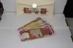 Set of 20 Twenty-Five Thousand Dinar bills