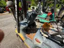 Cat C5000 Forklift **RUNNING!**