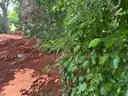 0.21 Acre in a real quiet Neighborhood and Kids friendly