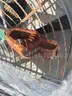 Industrial Fan, OPS Fan, Qty 1