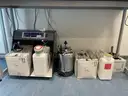 BD FACS Celesta Flow Cytometer