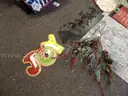 Miscellaneous Christmas Items / Decorations