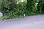 Vacant Residential Lot For Sale Near Downtown Roanoke, VA
