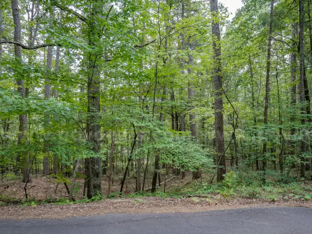 Vacant Residential Lot For Sale In Hot Springs Village, Arkansas