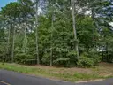 Vacant Residential Lot For Sale In Hot Springs Village, Arkansas