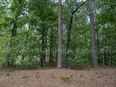 Vacant Residential Lot For Sale In Hot Springs Village, Arkansas