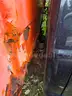 2001 Ford F-350 SD