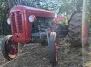 Massey Ferguson FE35 Vintage And Totally Restored Tractor And Slasher.