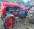 Massey Ferguson FE35 Vintage And Totally Restored Tractor And Slasher.