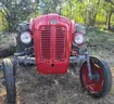 Massey Ferguson FE35 Vintage And Totally Restored Tractor And Slasher.