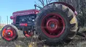 Massey Ferguson FE35 Vintage And Totally Restored Tractor And Slasher.