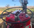 Massey Ferguson FE35 Vintage And Totally Restored Tractor And Slasher.