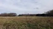 39+ Acres on Maryland Eastern Shore