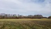 39+ Acres on Maryland Eastern Shore