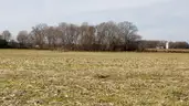 39+ Acres on Maryland Eastern Shore