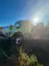 2013 International 7400