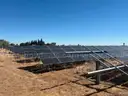 Large Lot of Solar Panels