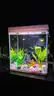 SHIPPING AVAILABLE Glass Fish Tank (W7&#x201D; &#xD7; L9&#x201D; &#xD7; H10&#x201D;) &#x2013;( 6-02)    Tank Only, Accessories Not Included