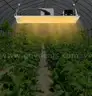 4 SET X BRAND NEW 110w LED Grow Light, Indoor Grow Lamp for Plants &#xFF08;A3-3B&#xFF09; - SHIPPING AVAILABLE