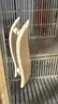 Premium Infrared Sauna &#x2013; 1&#x2013;2 Person Capacity