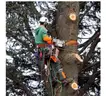 SHIPPING AVAILABLE  Tree Climbing Spikes,Tree Climbing Gear for Tree Climbing Outdoor Climbing,Tree Work, Hunting(11-03)