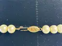 Pearl Necklace (Marked: 14k VVV)