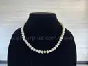 Pearl Necklace (Marked: 14k VVV)