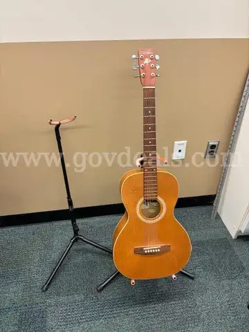 Guitar and 2 Guitar Stands