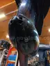 Freshwater 2002 Mercury EFI 225HP Long Shaft